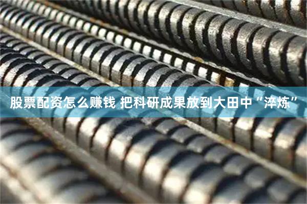 股票配资怎么赚钱 把科研成果放到大田中“淬炼”