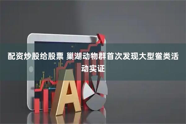 配资炒股给股票 巢湖动物群首次发现大型鲎类活动实证
